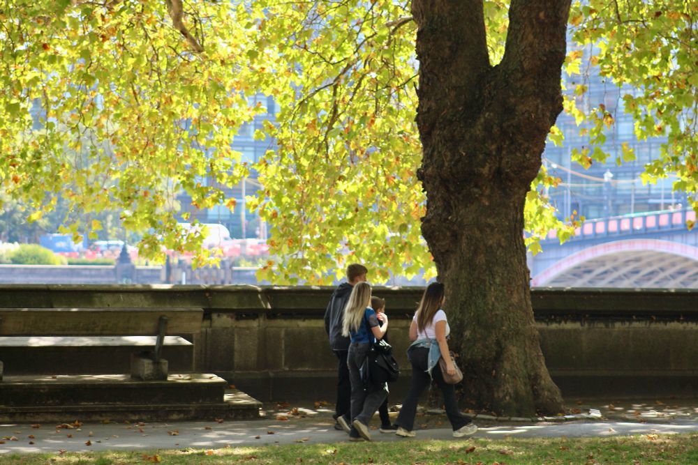 A group of four people walking along the embankment path of Victoria Tower Gardens beneath leaves lit by the sun. On the right is one of the five arches of Lambeth Bridge.