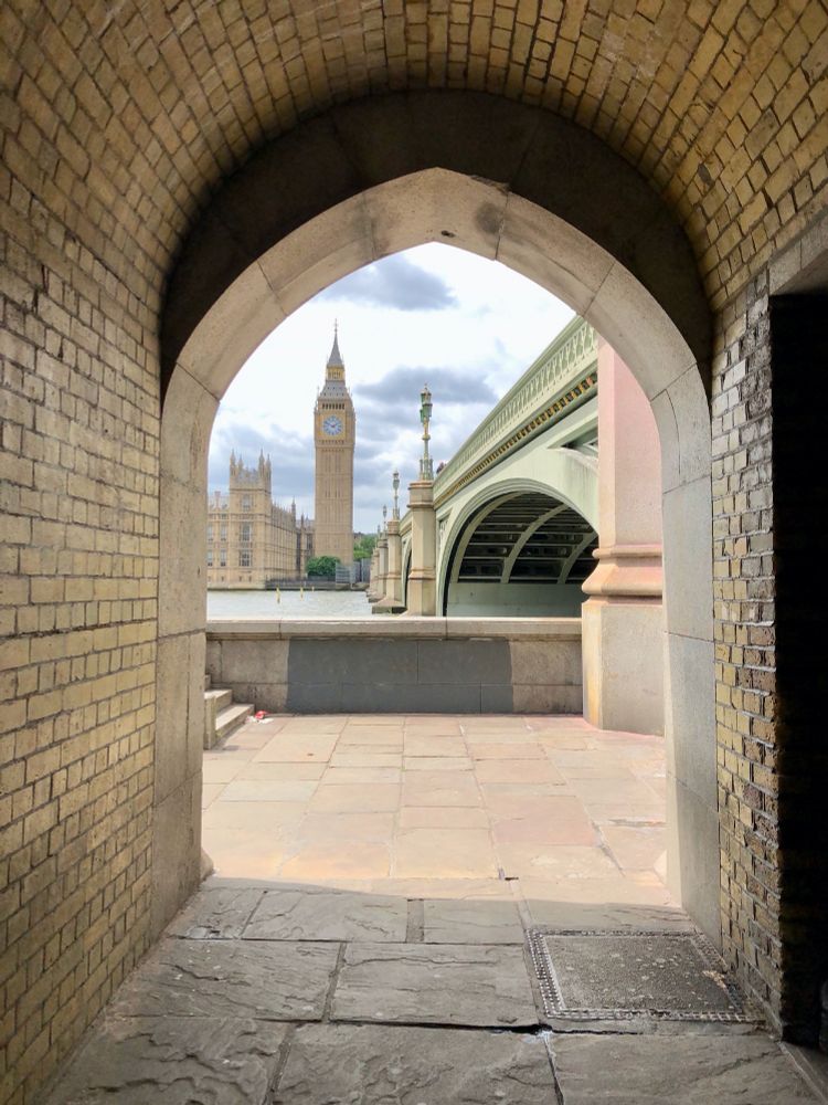Pictures taken in central London, UK. 1.View of Big Ben from across the River Thames. 2. A black-headed gull. 3. A barge passing beneath Tower Bridge. 4. A young crow.