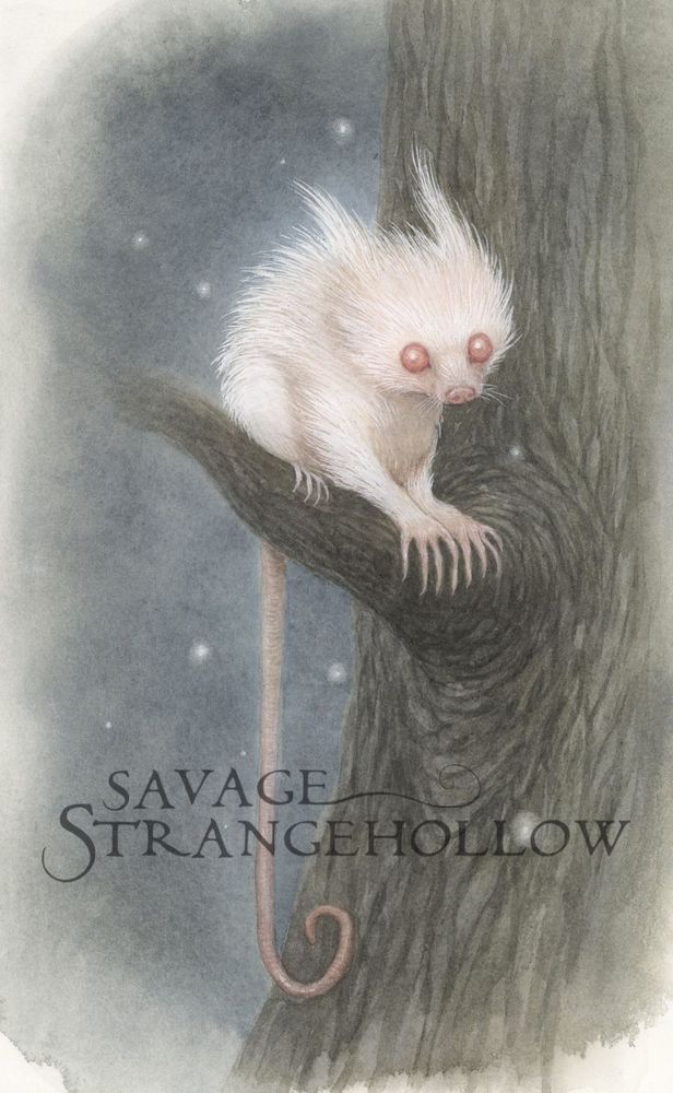 a pale white/pink hairy creature sitting on a tree branch. It has a long rat-like tail which is prehensile and it has long claws. Its eyes are pink. 