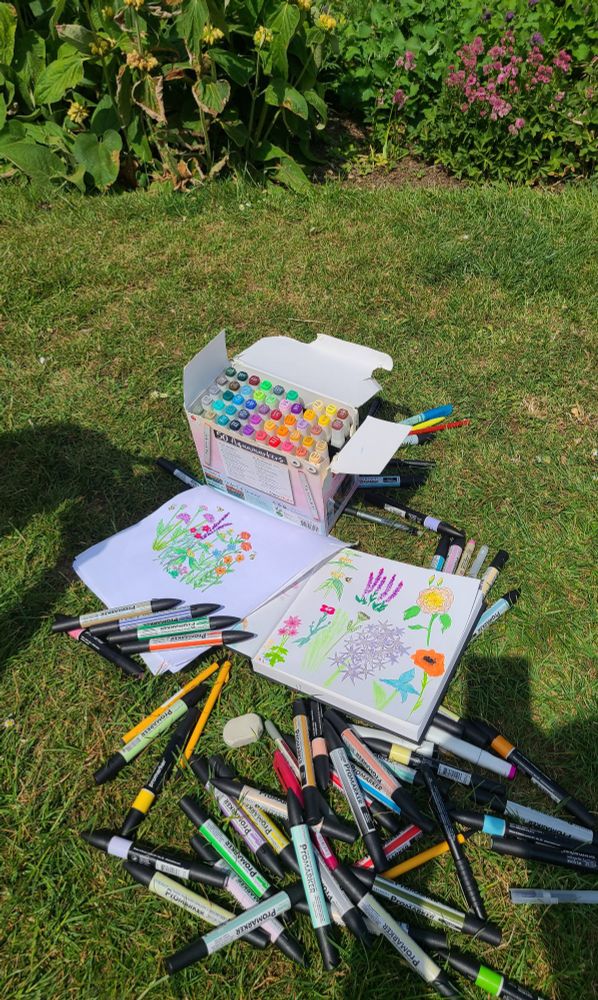 Two sketchbook pages filled with flowers seen on a patch of grass surrounded by promarkers of different colours. Some flowers can be seen in the background. 