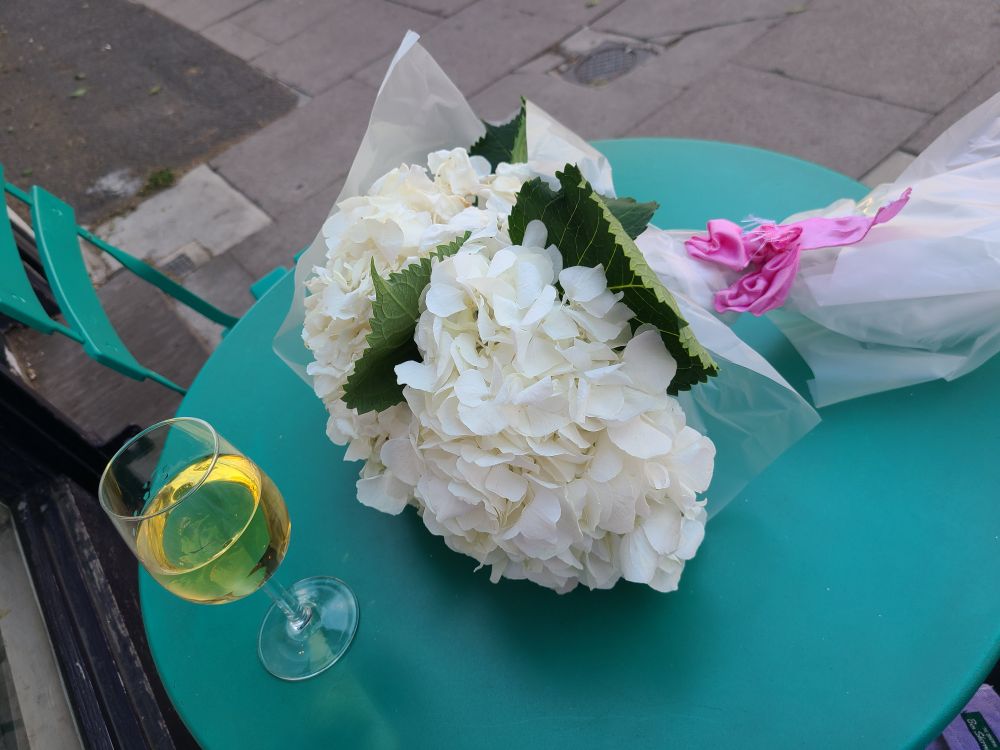 Photograph of a glass of wine and a bouquet of white hydrangeas sitting on a teal table