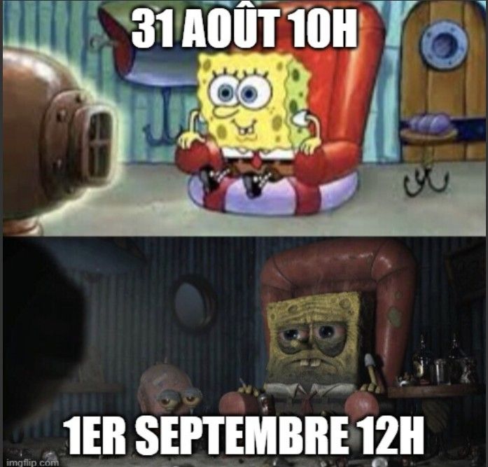 Meme en deux parties En haut, Bob l'Eponge tout joyeux, le texte dit 