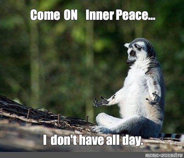 Photo d'un lémurien dans une posture évoquant la méditation, avec la légende "come on inner peace, I don't have all day" ("aller la paix intérieure là.... j'ai pas toute la journée")