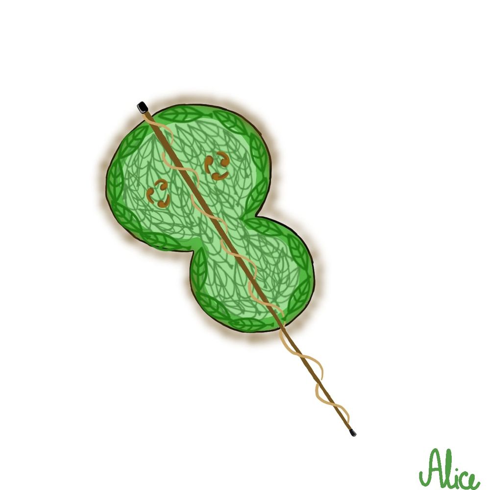 Minha customização 