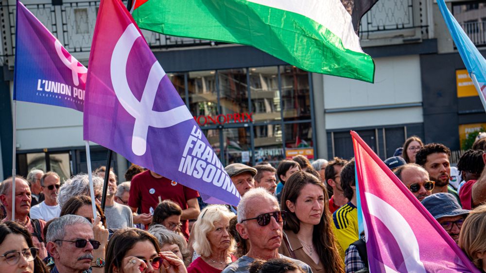 Dans la foule du rassemblement, plusieurs drapeaux de La France insoumise et de l’Union populaire sont visibles, ainsi qu’un drapeau palestinien. Les visages montrent l’attention portée aux prises de parole.