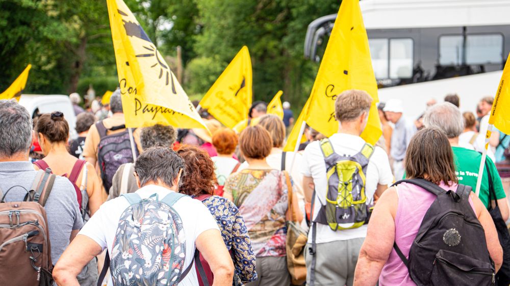 Vue de dos d’un cortège de manifestant·es marchant avec des sacs à dos. De nombreux drapeaux jaunes de la Confédération paysanne sont levés. L’arrière-plan montre un bus et des arbres.