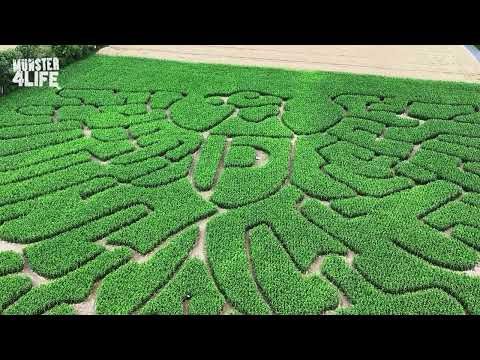 Maislabyrinth - SC Preußen Münster Adler - Hof Schwermann Pleistermühle