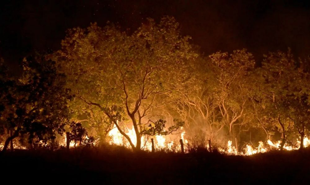 Fogo na mata é pedra cantada, por Manuel Domingos Neto