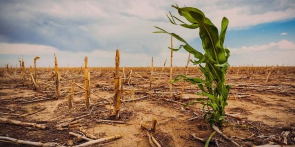 Uma agenda positiva para o agro no clima