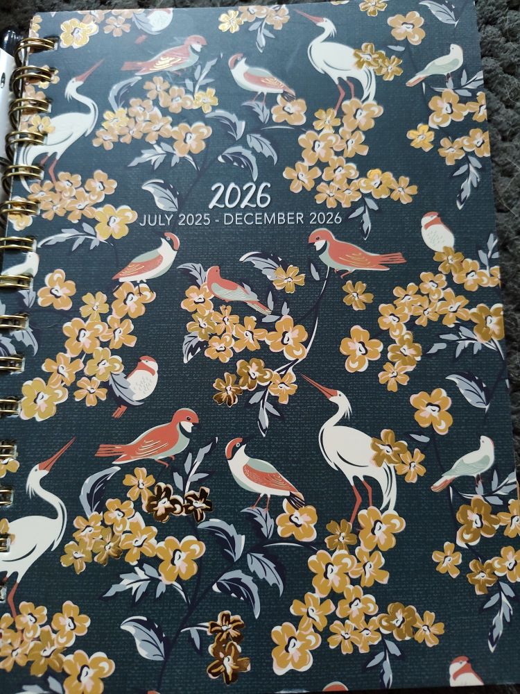 My recent move into a space with a yard and lots of birds made me want to start a little journal to record things like seasonal firsts, and recently I had the idea that a daily planner could actually be perfect. Walked into Walgreens and found THIS! It starts now and then continues through the entirety of next year so I'm not leaving half a planner empty 😂 And it's in my color scheme!