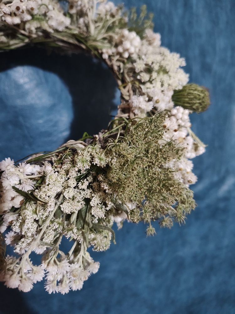 Pearly Everlasts and Queen Anne Lace I wove together in my very first flower crown!!!