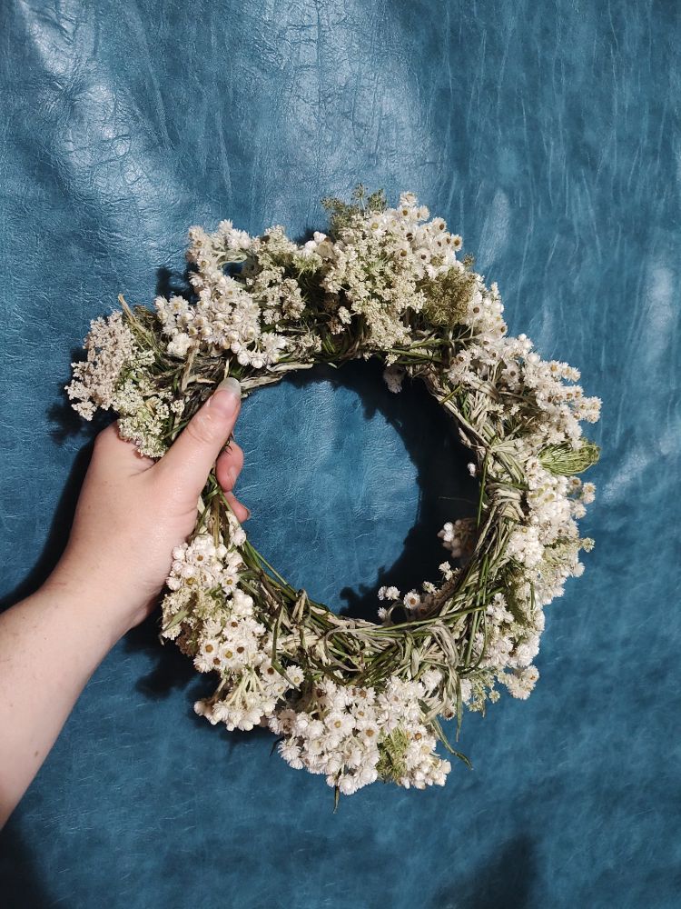 I've never made a flower crown before, I was inspired by an Instagram creator I follow, if I find him here I'll definitely tag him. These are flowers called Pearly Everlasts and Queen Anne Lace, which I'm hoping are going to dry beautifully!
