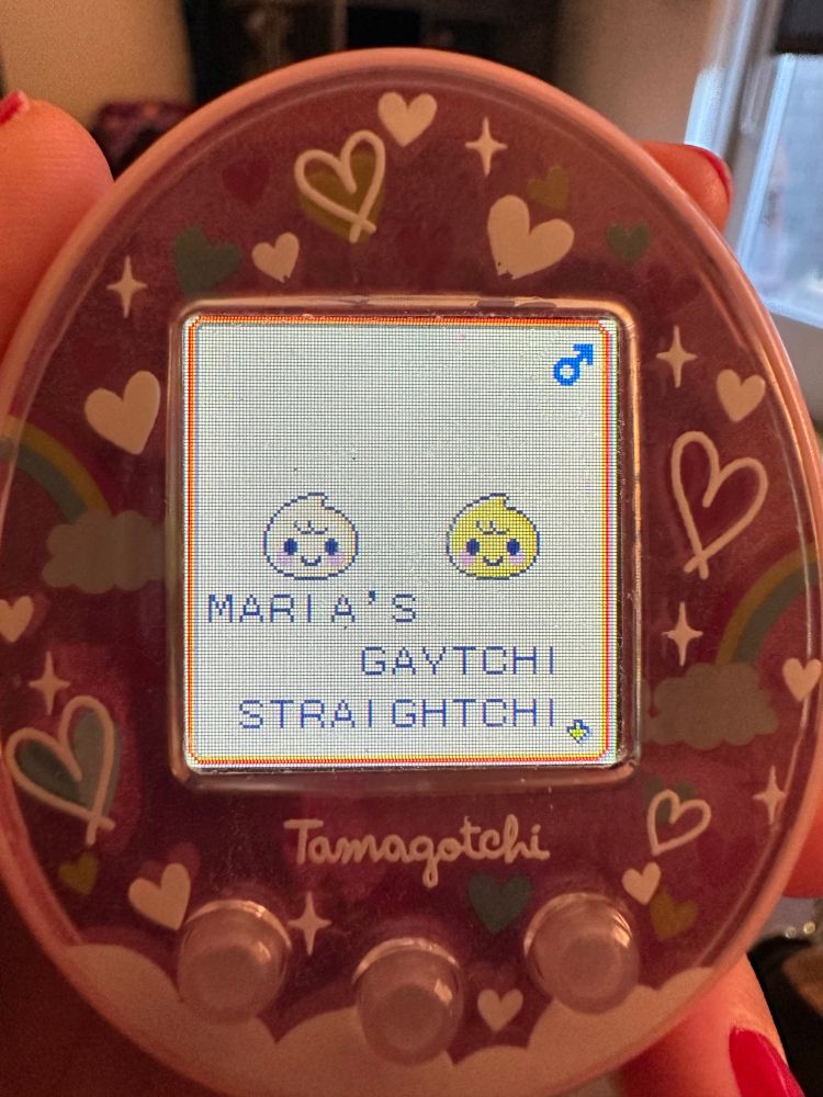 my two new tamagotchi babies named gaytchi and straightchi 