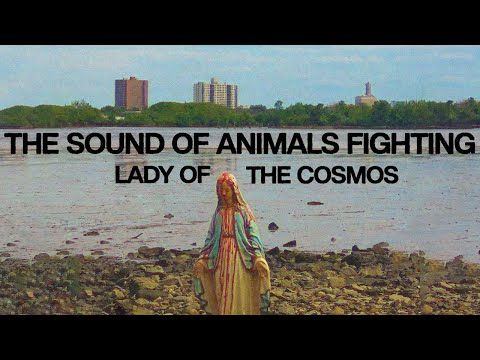 The Sound of Animals Fighting - Lady of the Cosmos (Official Video)