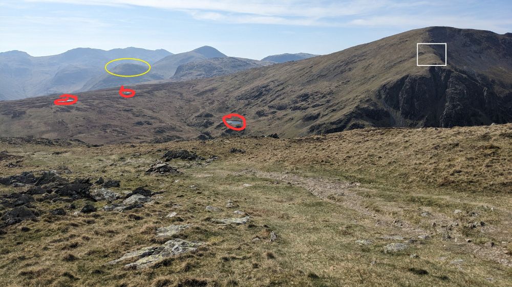 Photo with features circled.