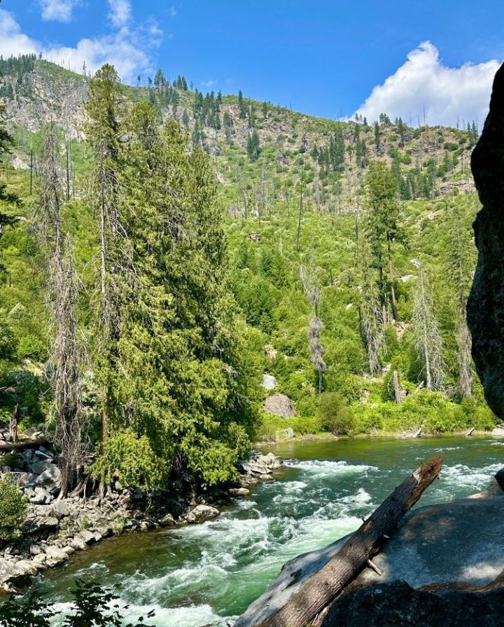 Photo by Andrea.

Her post:

"Beautiful Lake Wenatchee, in the Okanogan-Wenatchee National Forest, Washington 

#ForestFriday #Trees #Nature #Cascades #PNW #Lakes #Rivers #Photography #SavePublicLand"

Her ALT text:

"A body of moving water surrounded by a forest of trees with a tree-covered mountain in the background "