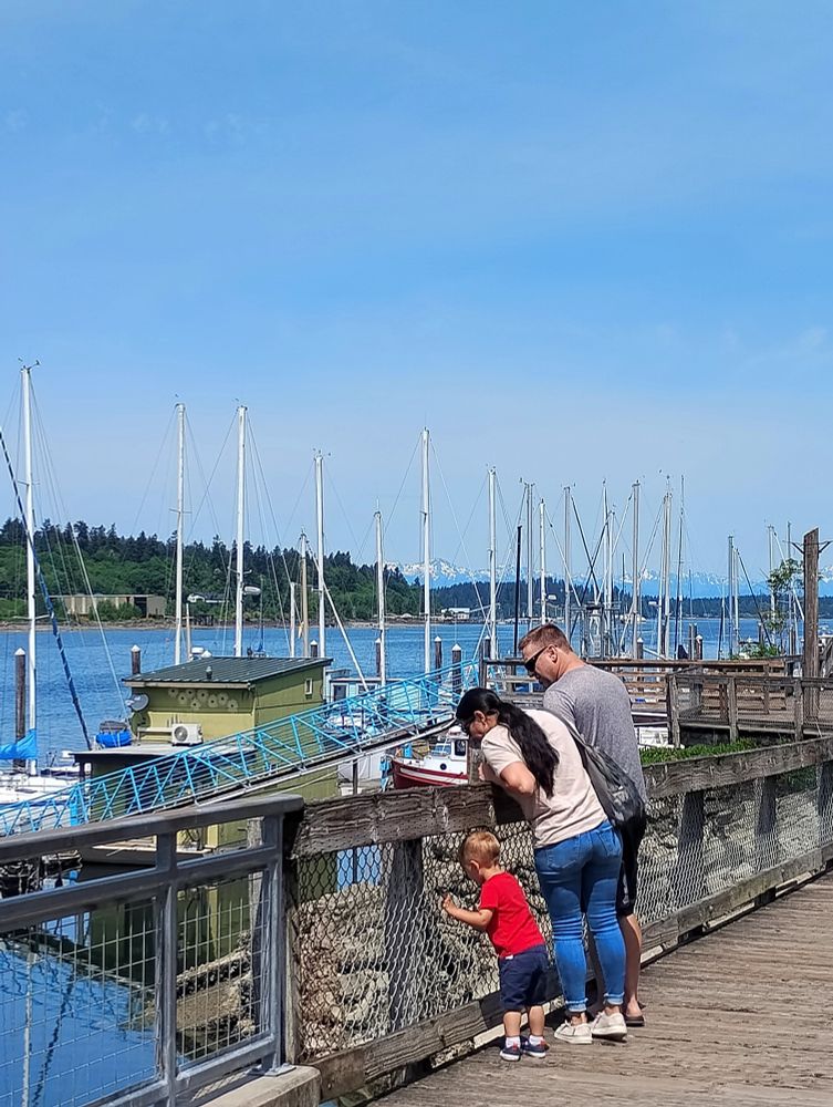 A family of three peers down at Budd Inlet along Olympia's waterfront.

A boy is wearing a red shirt and dark shorts. His mom is in a light-colored shirt and blue jeans. His dad is in a gray shirt.

They are standing on the boardwalk with boats in the background.

The skies and seas are blue.