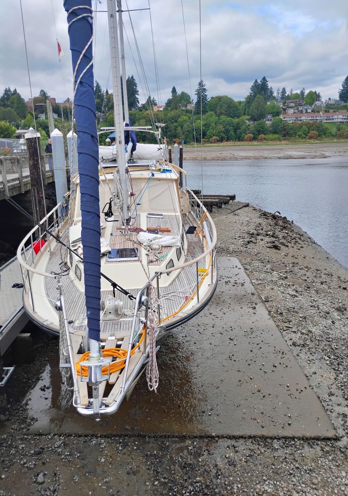 A Nauticat 44 is docked at the Olympia Yacht Club.

The sailboat owner was working on the engine during one of the year's lowest tides.

The boat is named Blue Heron. Fitting for Olympia. There is a heron rookery directly across Budd Inlet from the OYC.

In all my decades of boating and spending time on the Puget Sound waterfront, I had never seen a boat drydocked in that location.

There is a large metal plate installed on the shore of Budd Inlet. The boat was resting on that while the owner made his repairs.

He sailed away when high tide returned.

Very Cool. ⛵