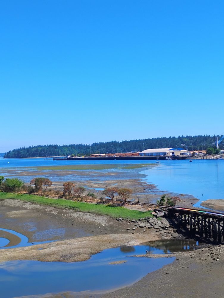Budd Inlet on a crystal clear summer Tuesday.

As seen from the Fourth Avenue Bridge in Olympia.

The tide is rather low. Exposing sand & rocks in the water near the blue heron rookery to the left and the main body of Budd Inlet to the right.

Abandoned train tracks and the Rainbow Bridge run through the inlet.

The Port of Olympia lumber yard is  in the background.