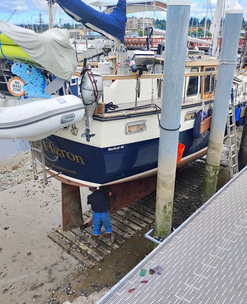 A Nauticat 44 is docked at the Olympia Yacht Club.

The sailboat owner is working on the engine and making other repairs during one of the year's lowest tides.

The boat is named Blue Heron. Fitting for Olympia. There is a heron rookery directly across Budd Inlet from the OYC.

In all my decades of boating and spending time on the Puget Sound waterfront, I had never seen a boat drydocked in that location.

There is a large metal plate installed on the shore of Budd Inlet. The boat was resting on that while the owner made his repairs.

He sailed away when high tide returned.

Very Cool. ⛵