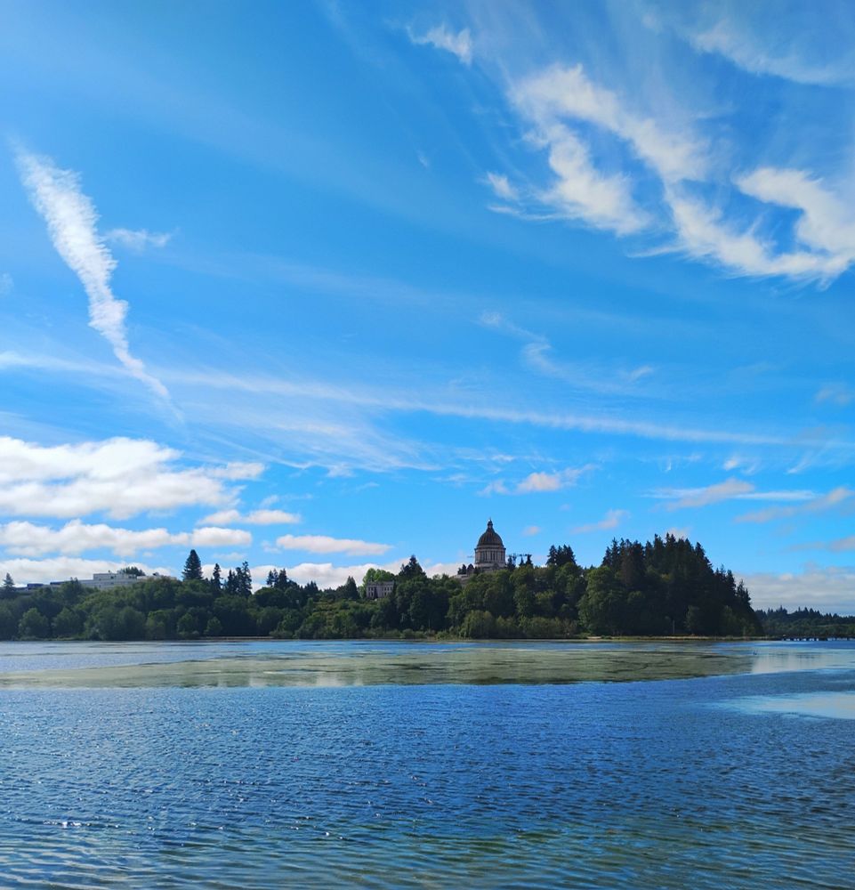 Green algae is in bloom on Capitol Lake in Olympia.

The Capitol Building and state government campus are in the background.

The sky is blue with an array of interesting clouds.