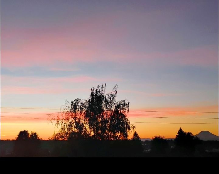 The minutes before a May sunrise in Olympia.

The Tree Where Crows Perch is in the middle. Mount Rainier is at the far right. The forest foothills of the Cascade Mountains line the rest of the horizon.

The ski is hues of pink and blue.