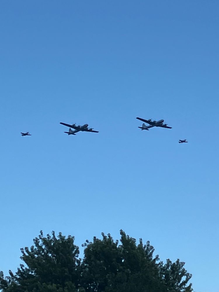 Two B-29 Superfortresses flying in the center of a formation, with two P-51 Mustangs escorting them from the sides. The sky is a beautiful clear blue, and there's a large tree in the low foreground.