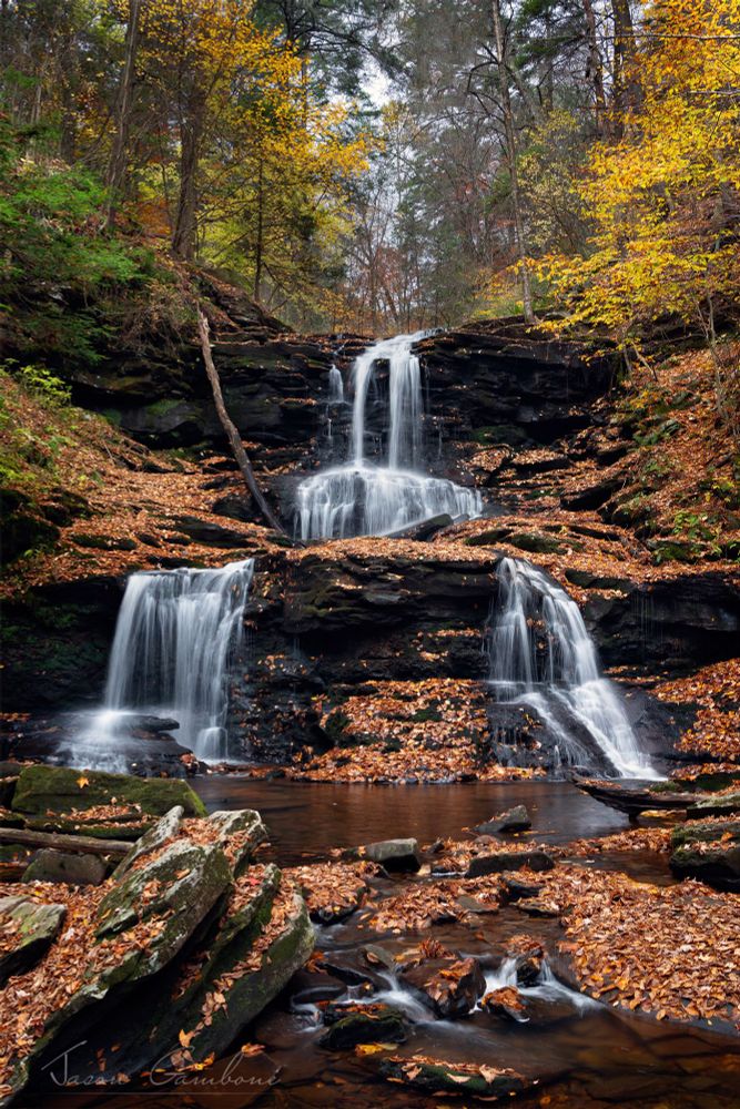 Ricketts Glen Park waterfall, in Autumn is something to see when each fall is framed with the blossoming leaf colors of the season.