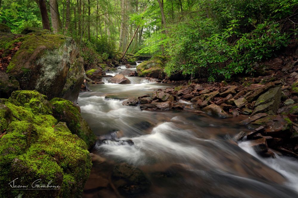 Buck Mountain Creek in Pennsylvania