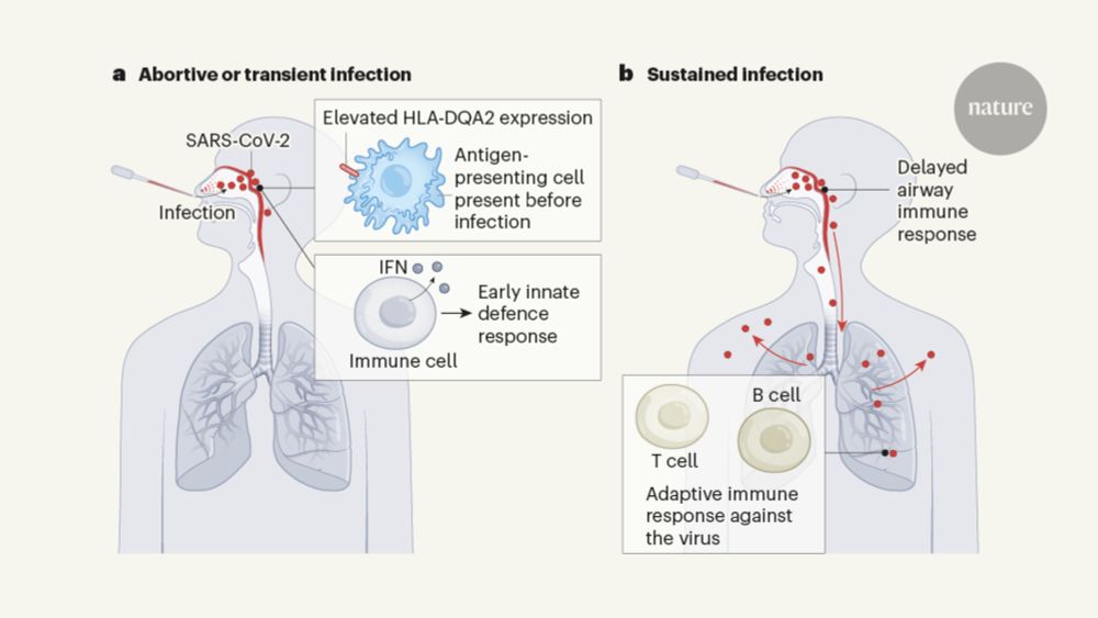 First encounter with SARS-CoV-2: immune portraits of COVID susceptibility