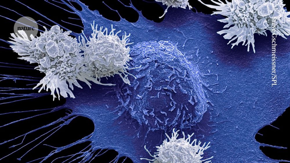 Do cutting-edge CAR-T-cell therapies cause cancer? What the data say