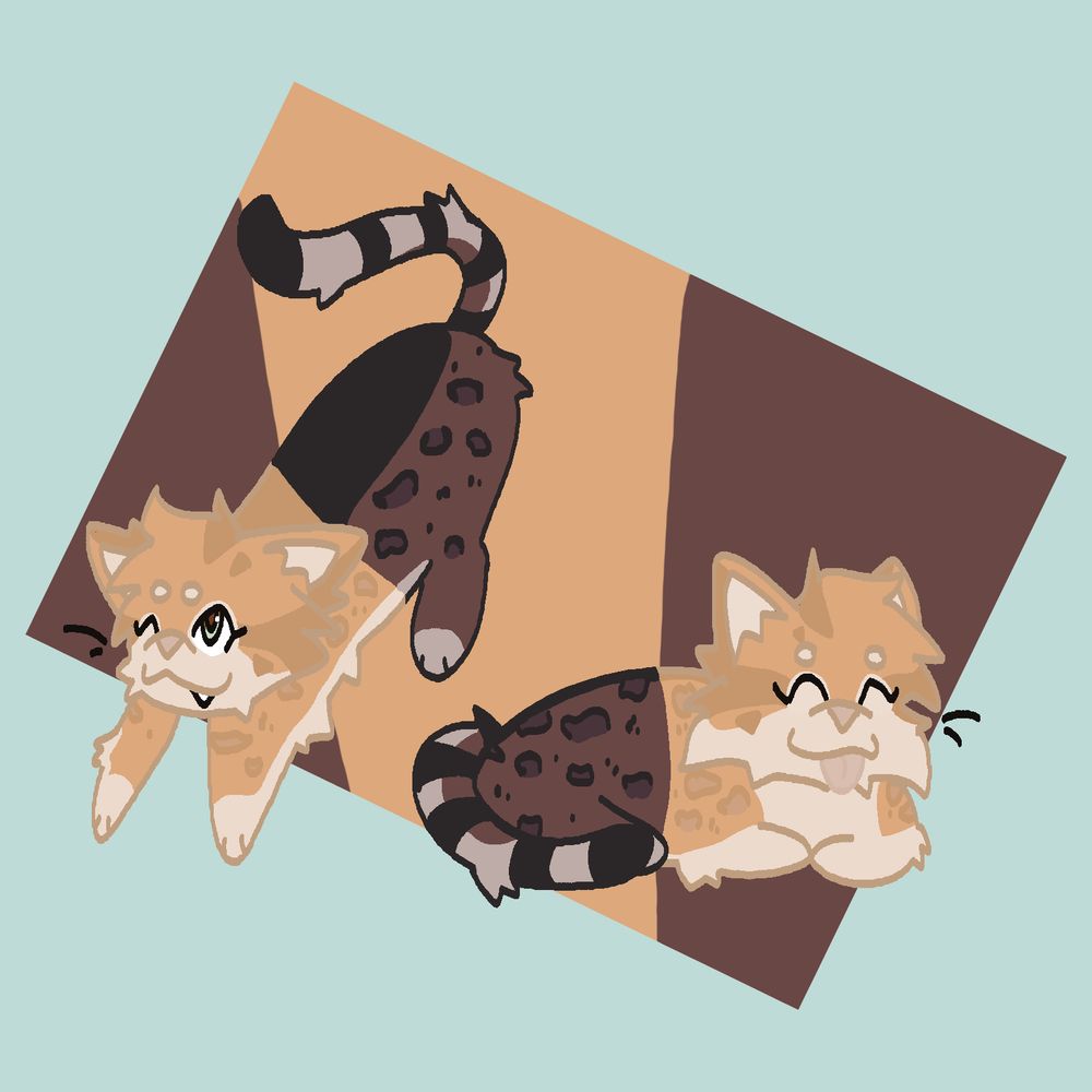 a warrior cat oc!