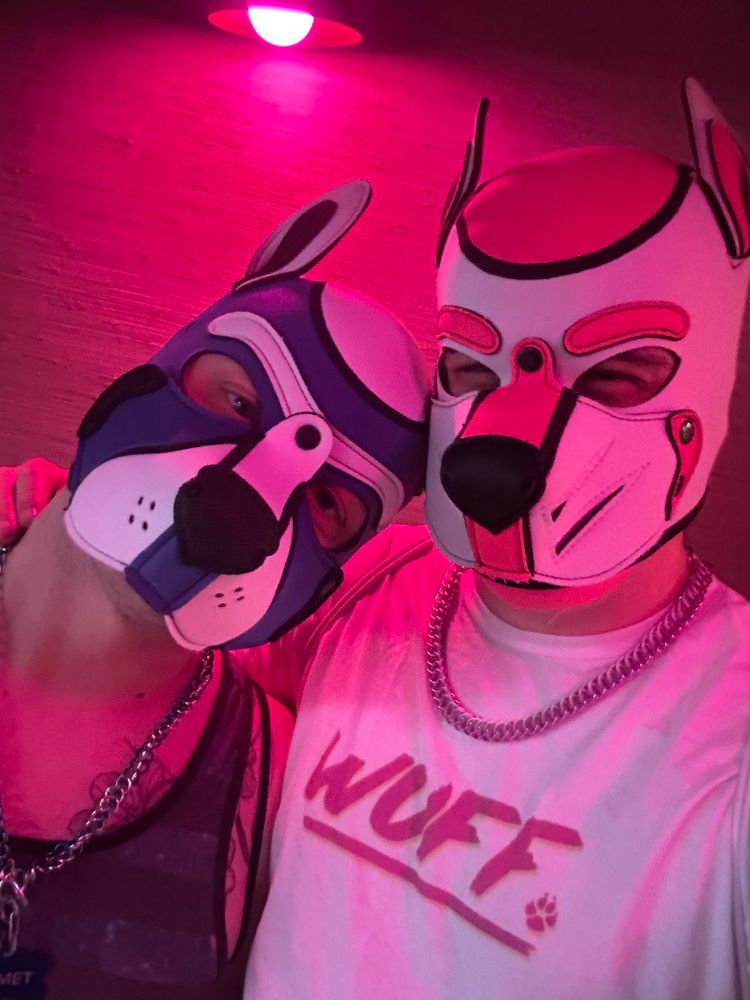 Pup Fancy and Pup Kismet taking a selfie together in pink lighting. 