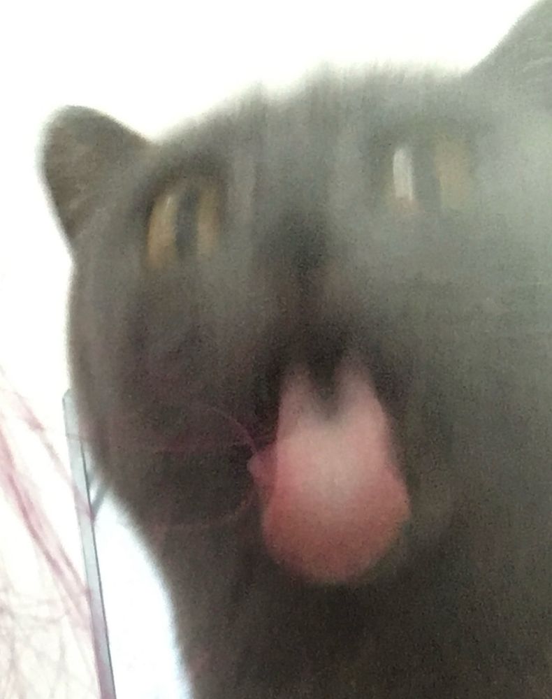 Me about to lick a strand of my mom's pink hair