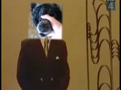 Beatbox Dog Sings Trololo