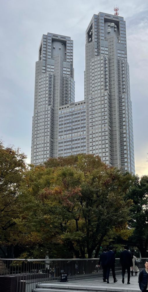 都庁と空とちょっぴり紅葉🍁