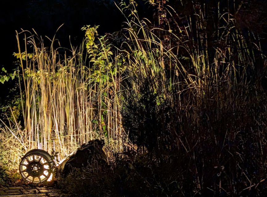 Dark out, light spreading from a Sparco Terra car wheel onto the reeds of a tiny pond/swamp. Lighting up the tan and green of trees behind. 