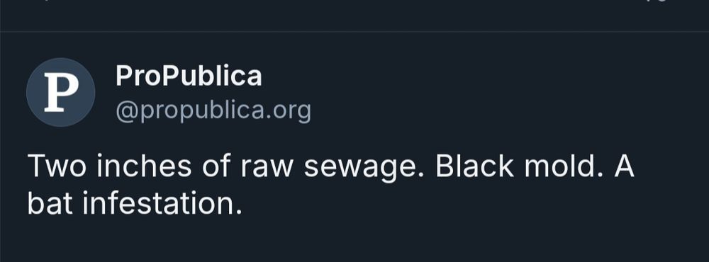 The opening line of a skeet from ProPublica which reads, "Two inches of raw sewage. Black mold. A bat infestation."