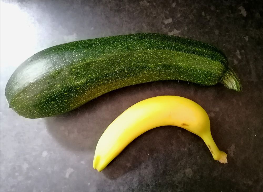 Large green courgette with a smaller banana for scale. 