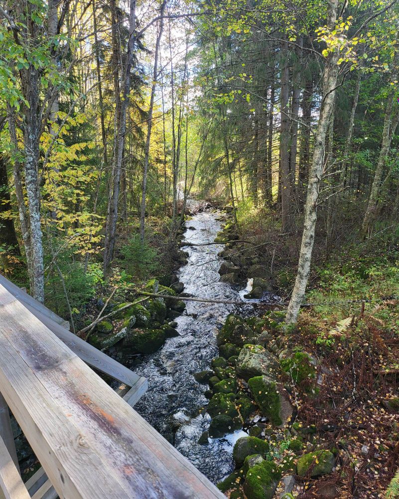 Suojoki virtaa sillan alta.