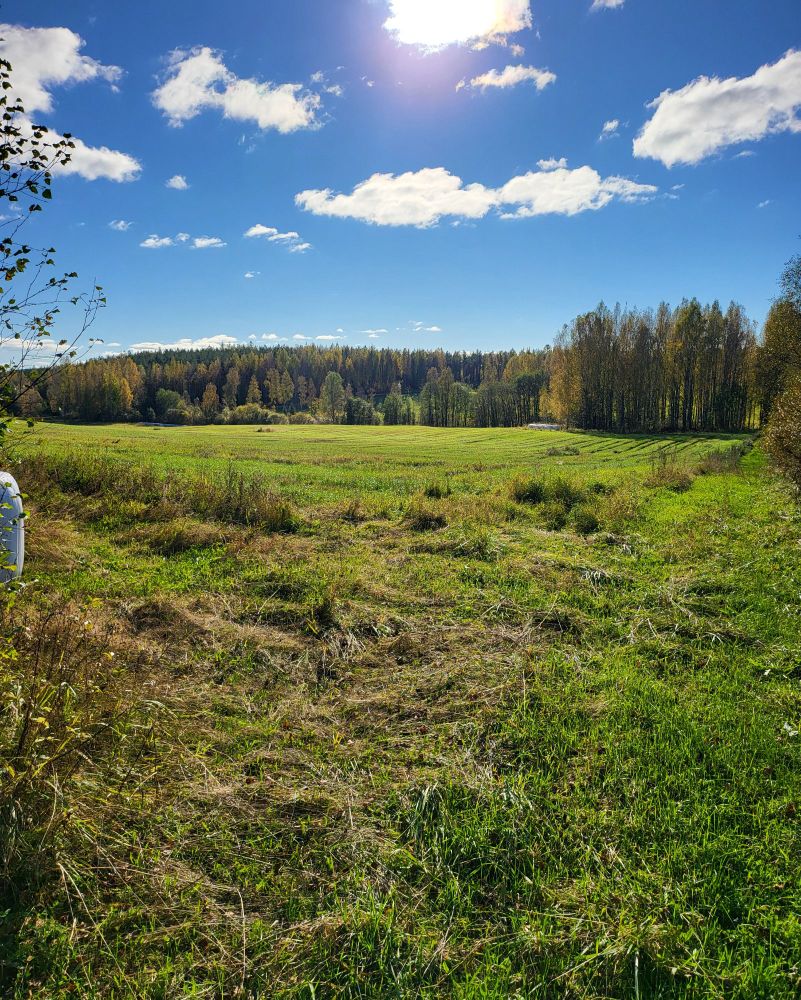 Peltoaukealla aurinko paistaa. Vihreää ruohoa.