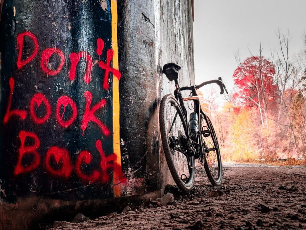 Photo of a black specialized diverge gravel bike, leaning up against the concrete wall of an underpass. Photo was taken from a low angle and from behind the bike, such that the bike looks like it’s looming a little bit. The words “don’t look back” or spray painted on the wall in red. On the bike, we can see a beautiful autumn scene: trees that are showing red and orange and yellow leaves. The ground beneath the bike is Sandy and Rocky.