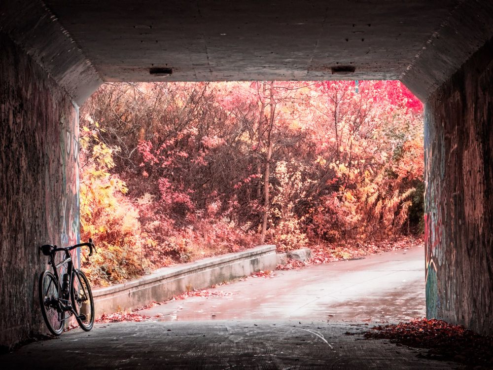 Photo of a black specialized diverge gravel bike, leaning against the wall of a tunnel. The camera is looking straight down the tunnel, such that the walls the floor and the ceiling are dark and out the entrance of the tunnel. we can see the path bending to the right and disappearing into a beautiful autumn scene.