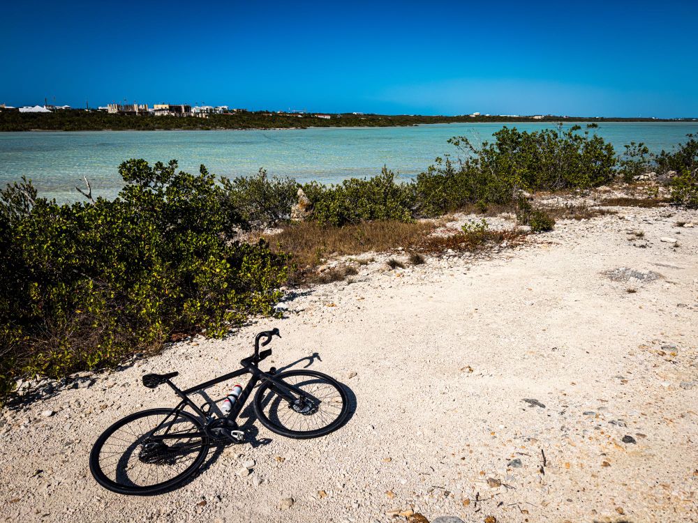 photo of a black scott addict gravel bike lying on bite gravel with some green wild growth next to it. beyond the wild growth is a body of bright blue water. the sky above is blue without a cloud to be seen 