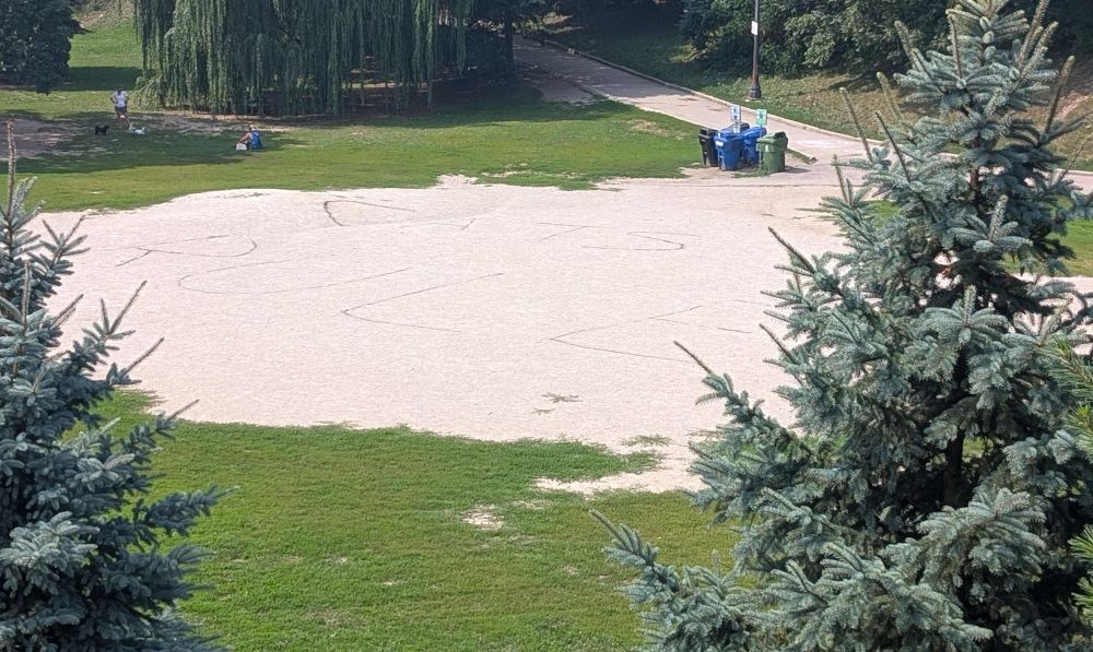 photo of a dog run in a park with the words “CATS RULE” spray painted on the ground 