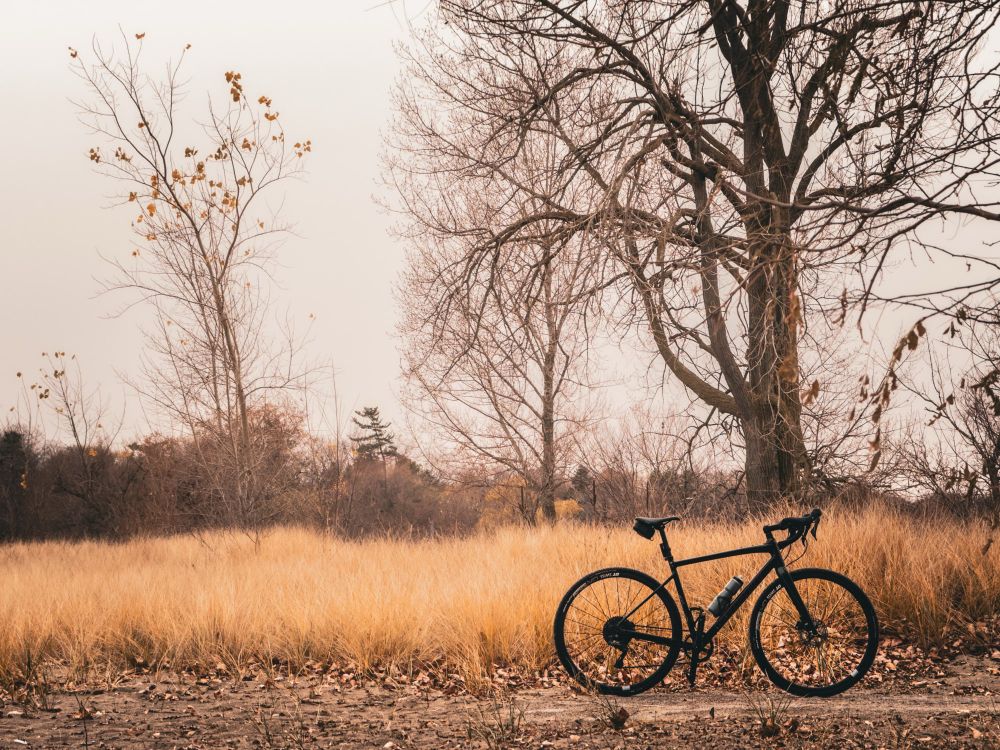Photo of a black specialized diverge gravel bike standing at the end of the path that leads to a beach. Next to the path is a patch of golden coloured tall grass. On the grass, there are trees that are almost entirely bare because all their leaves have fallen. The sky is hazy white.