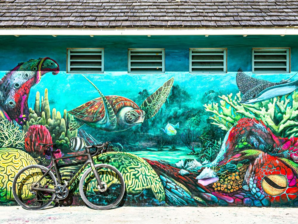 photo of a black scott addict gravel bike standing next to a wall that has a beautiful undersea themed mural on it. the mural features coral and a sea turtle prominently. the wall has 4 vents on it near the top. above the wall is a roof with wooden shingles 