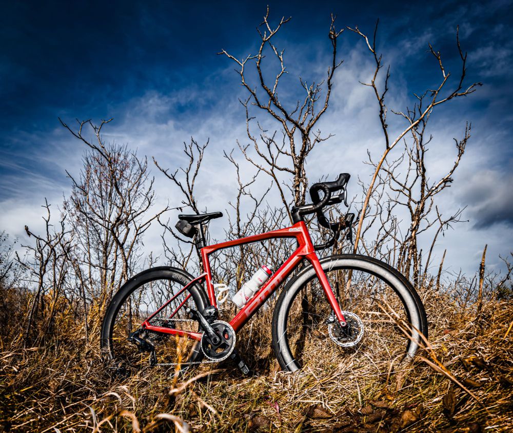 Photo of a red BMC roadmachine road bike standing in a field of browned tall grass that has been trampled down. Behind the bike is a thicket of plants that are reaching up to the guy with crooked branches that have no foliage on them. The sky is dark, blue and cloudy.