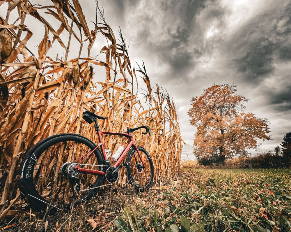 Photo of a red BMC roadmachine, road bike standing at the edge of a cornfield. The cornfield curves around to the left and reveals a large tree to the right of it. The tree is showing sparse autumn leaves that are orange and yellow. The sky above is cloudy and gray.