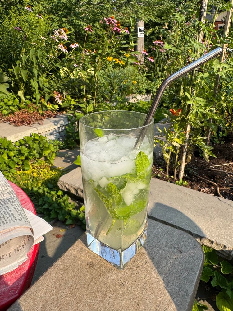 A delicious looking mojito with crushed ice on top and much mint in a translucent liquid sit on the arm of a chair in front of a colourful front yard garden. 